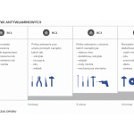 Drzwi antywłamaniowe w różnych stylach architektonicznych – bezpieczeństwo bez kompromisów estetycznych